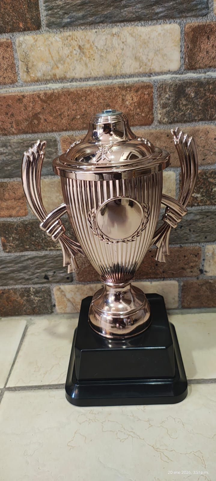 Trofeo bronce