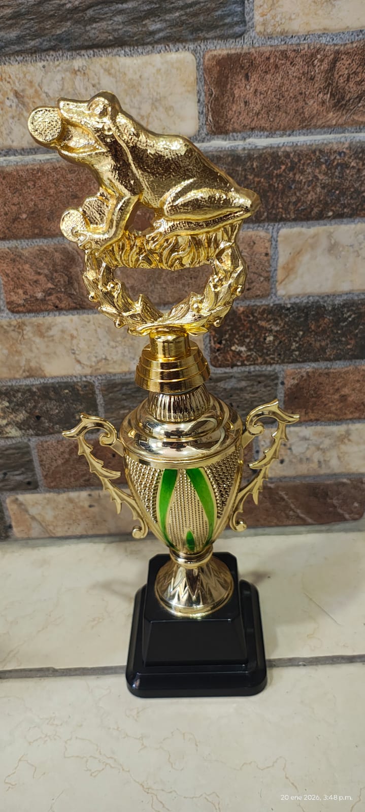 Trofeo rana