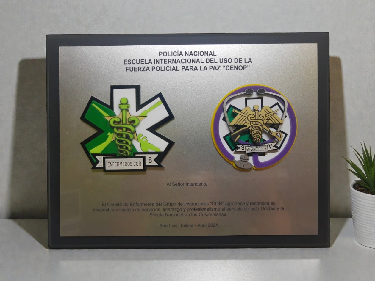 Placa pared alto relieve grande