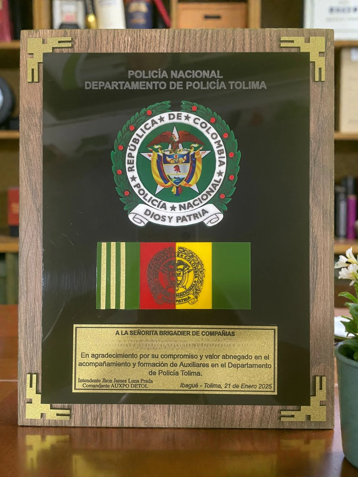 Placa pared alto relieve mediana