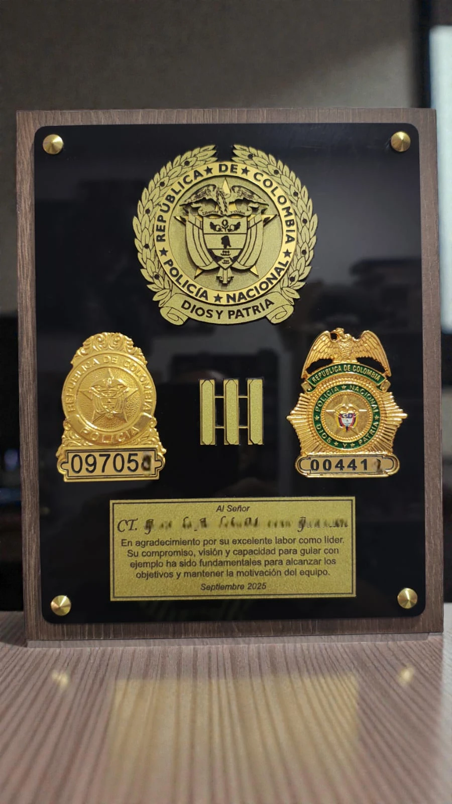 Placa pared alto relieve grande