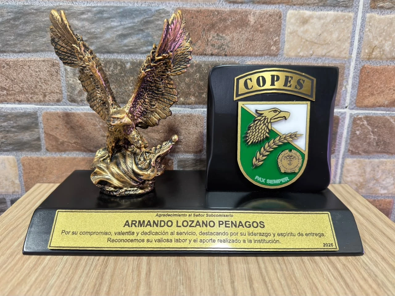 Placa figura